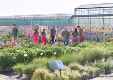 Het verkoopteam van Vitroflora bekijkt de variëteiten vroeg in de ochtend.